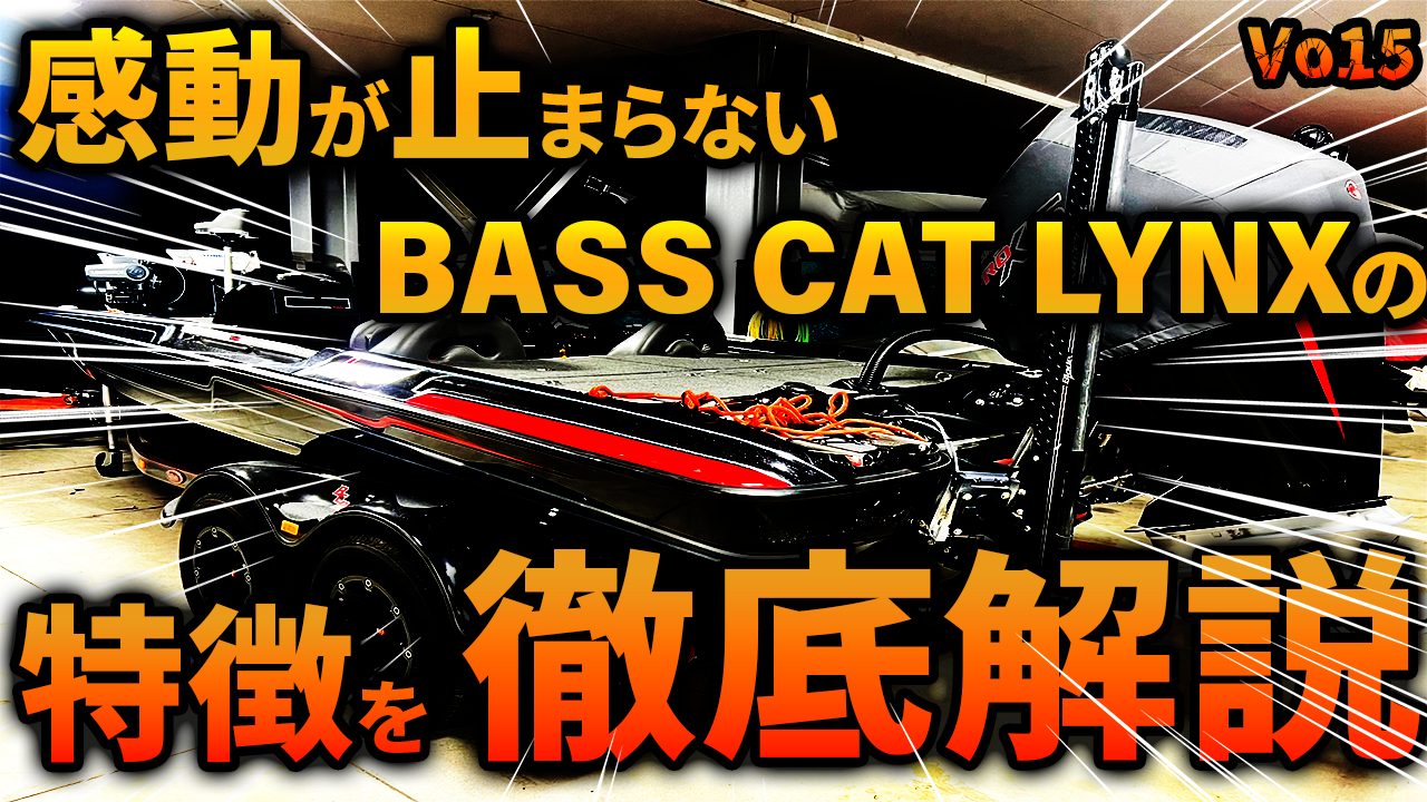 BassCat